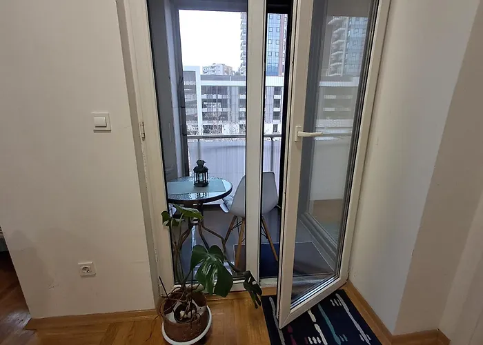 Daire Damjan's Place 2025